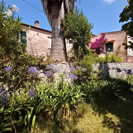 La Zanzara Tatil Evi *